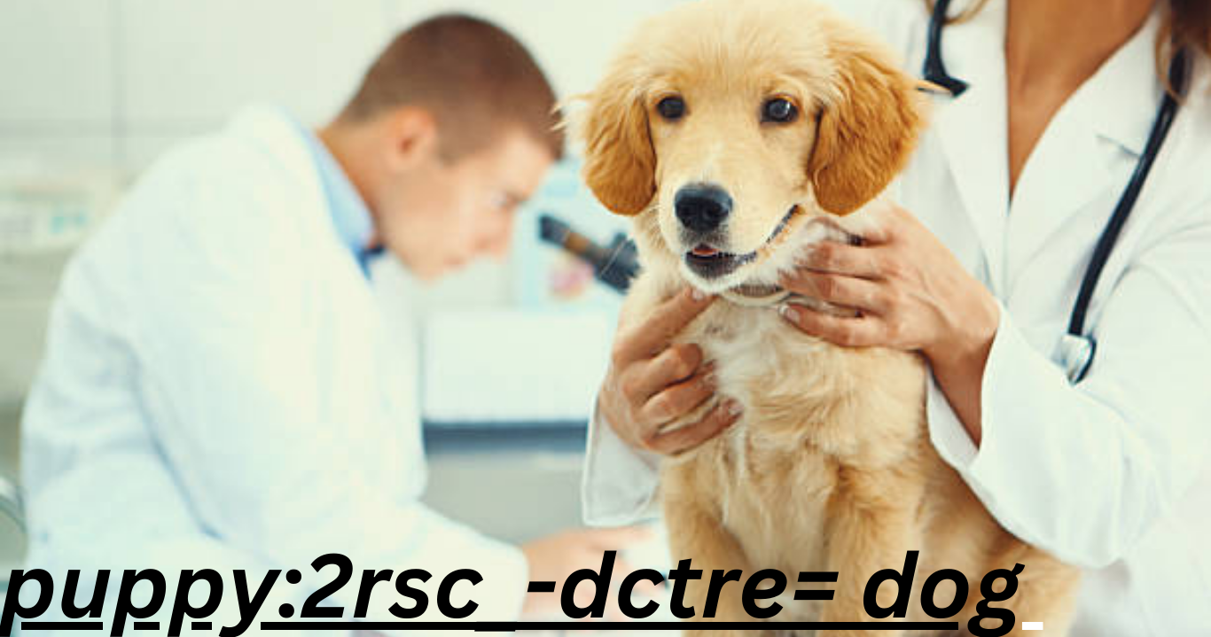 puppy:2rsc_-dctre= dog